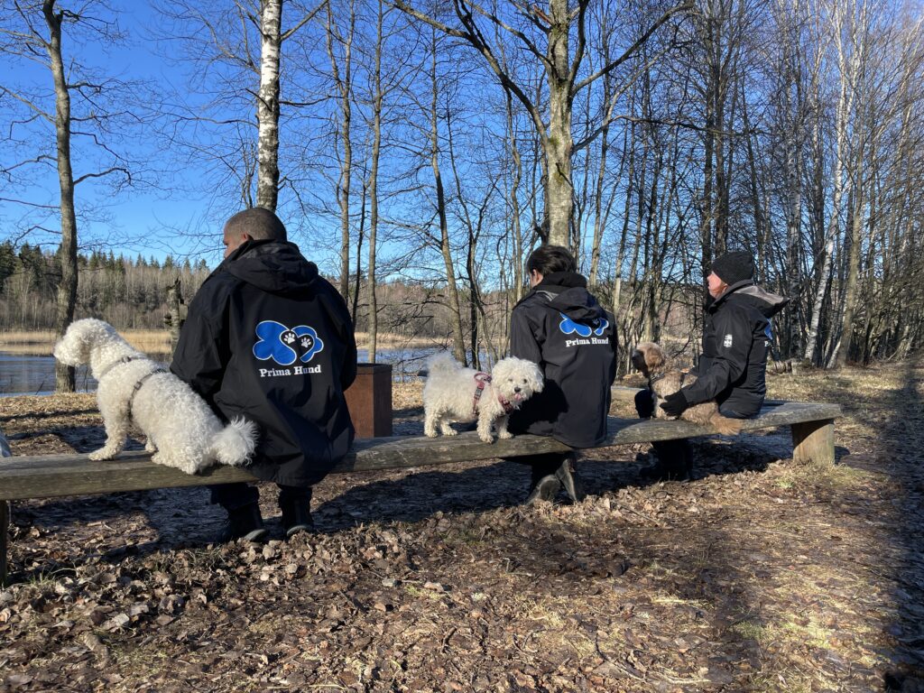 Hundskötare från Prima Hund med hundar.