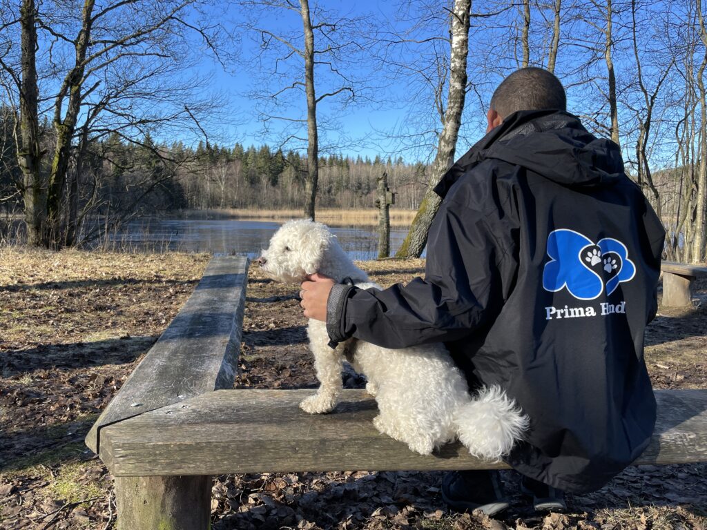 Hundskötare från Prima Hund sitter med hund på en bänk.